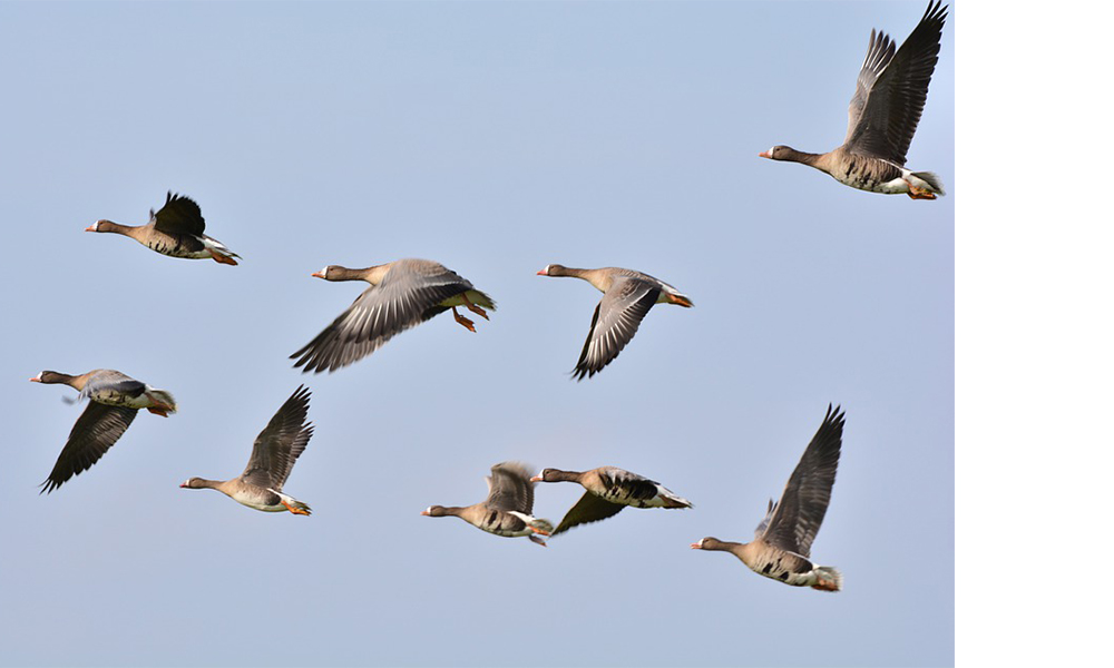 1662774161701085.jpg 02.jpg