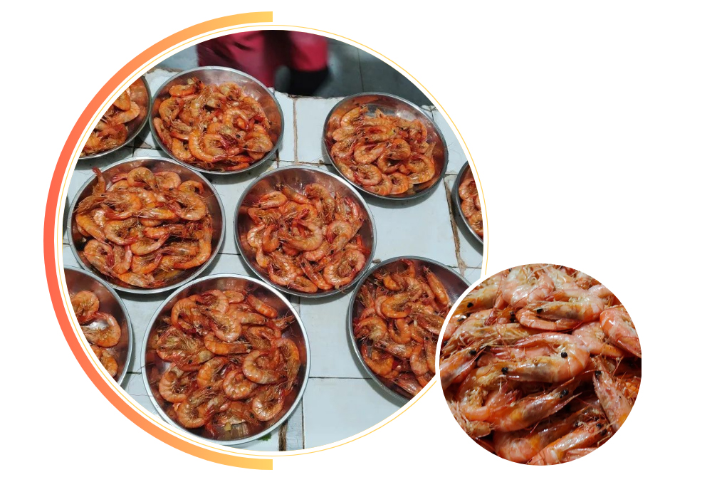 1662775041107681.jpg 14.jpg